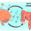 Gut- brain connection