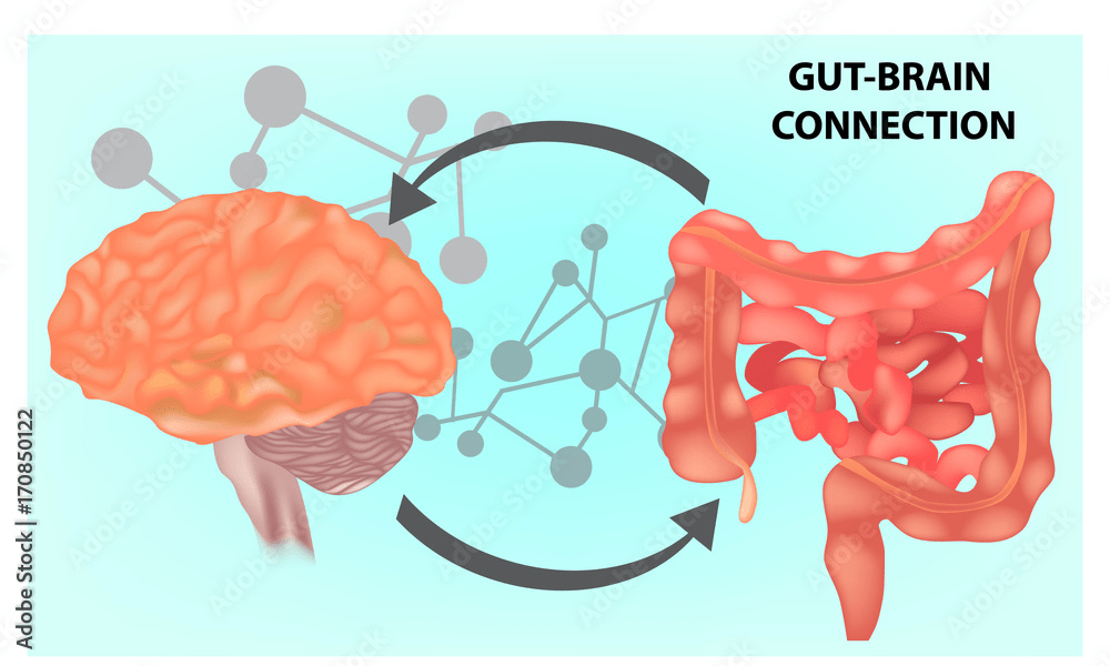 Gut-brain-connection